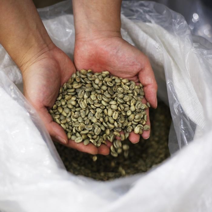 

Terlaris Arabica Ciwidey - Single Origin (Full Wash) - Mardika Coffee Ongkir Termurah