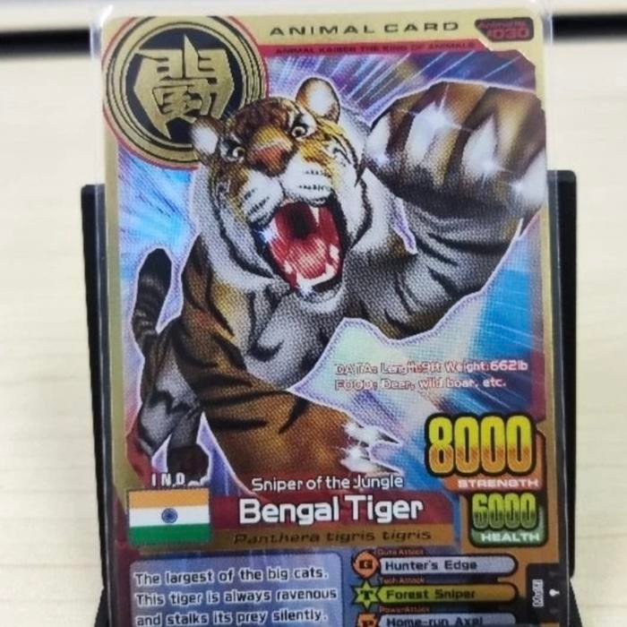 Animal Kaiser Plus Gold Card Bengal Tiger