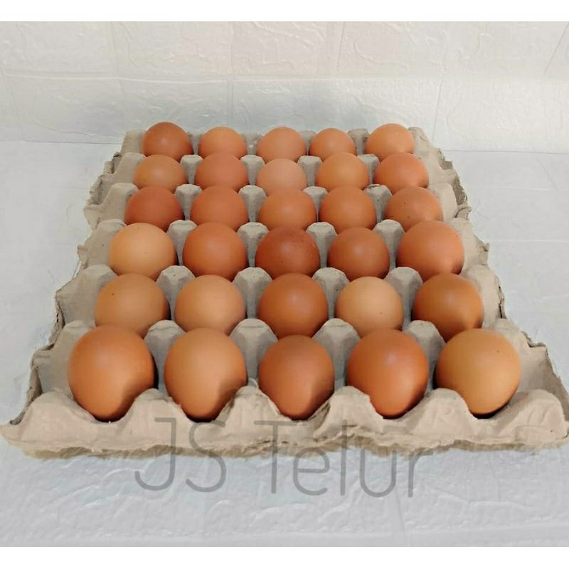 

TELUR AYAM NEGERI FRESH 1 tray/papan isi 30 butir (1500-1600gram)