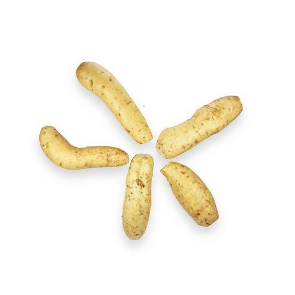 

Ubi Cilembu Organik 1kg