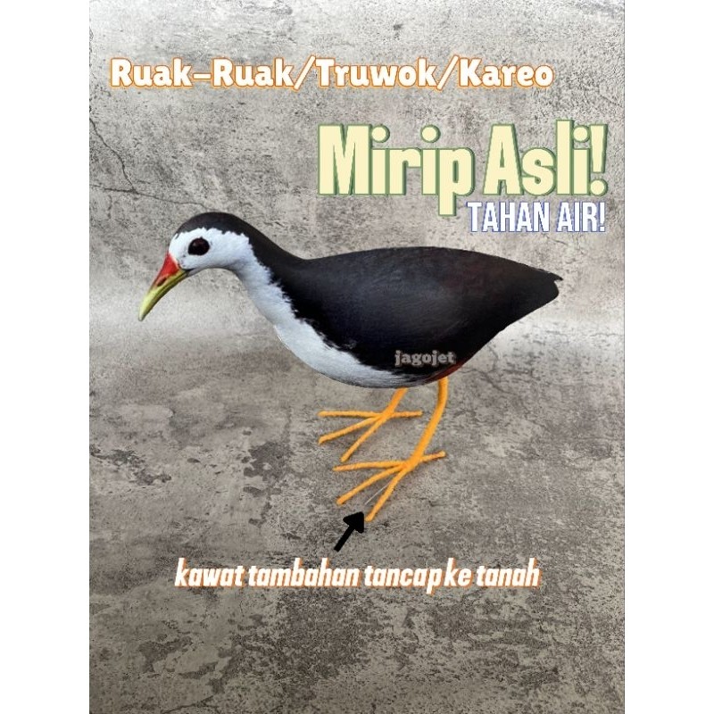 Jebakan Patung Jerat Ruak Ruak kareo sawah