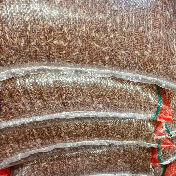 

Terlaris Beras Merah Kwalitas Super Bagus Buat Ayam Burung Kesayangan Harga Per5Kg