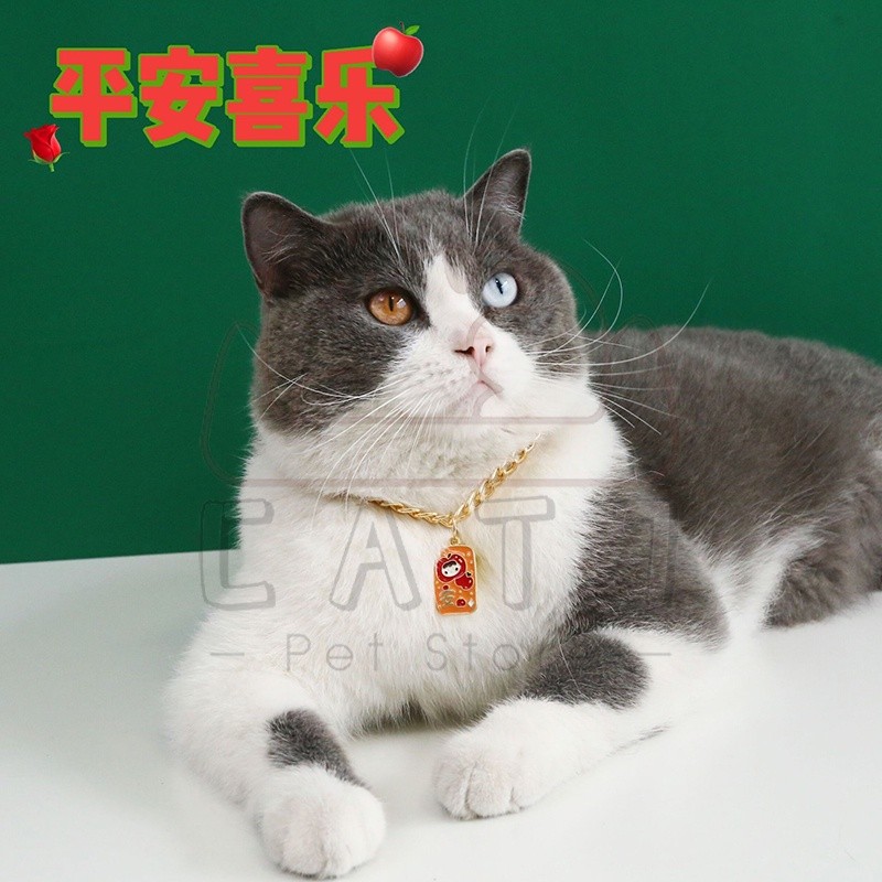KALUNG RANTAI BAHAN METAL DENGAN LIONTIN LONCENG UNTUK ANJING / KUCING