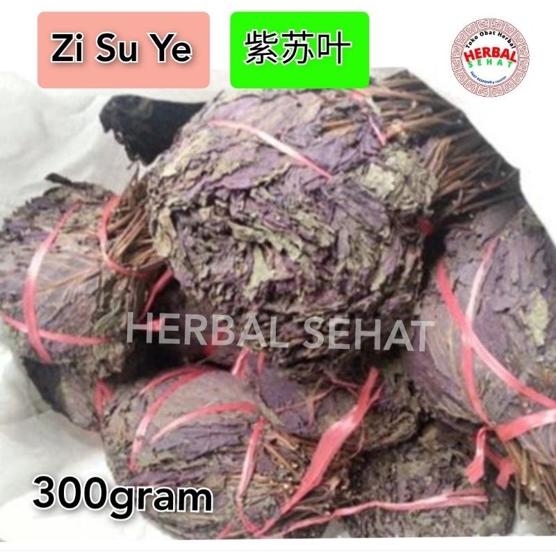 

[300gram] Zi Su Ye / Perilla Leaf - [ ] - Perillae Folium [PREMIUM]
