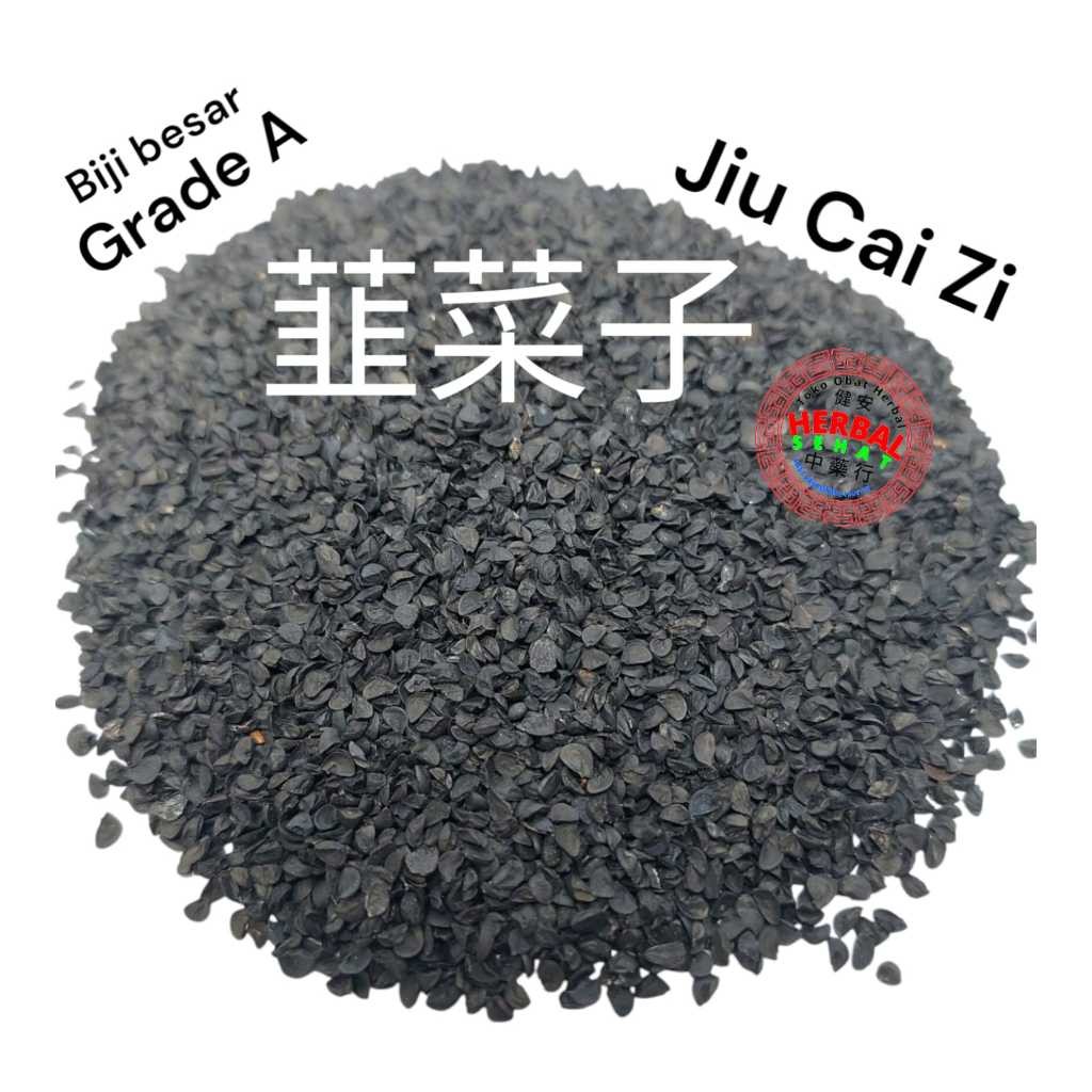 

Grade A - Jiu Cai Zi - TUBER ONION SEED SEMEN ALLII TUBEROSI CHINESE LEEK [PREMIUM]