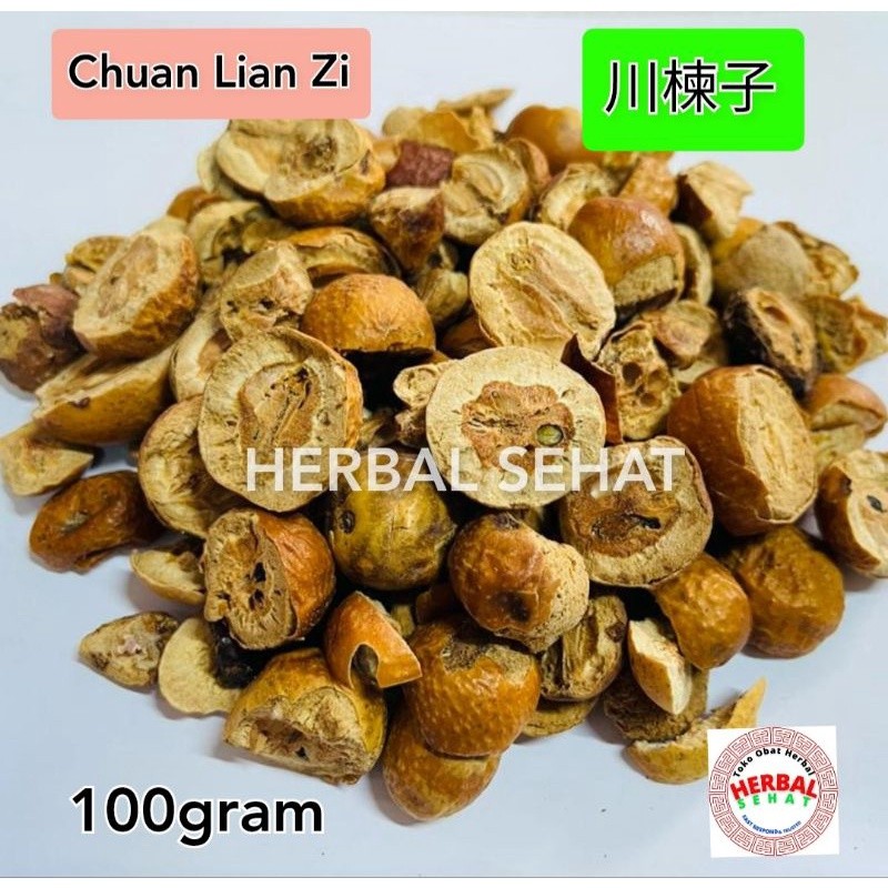 

Chuan Lian Zi 100 gram Fructus Meliae Toosendan [PREMIUM]