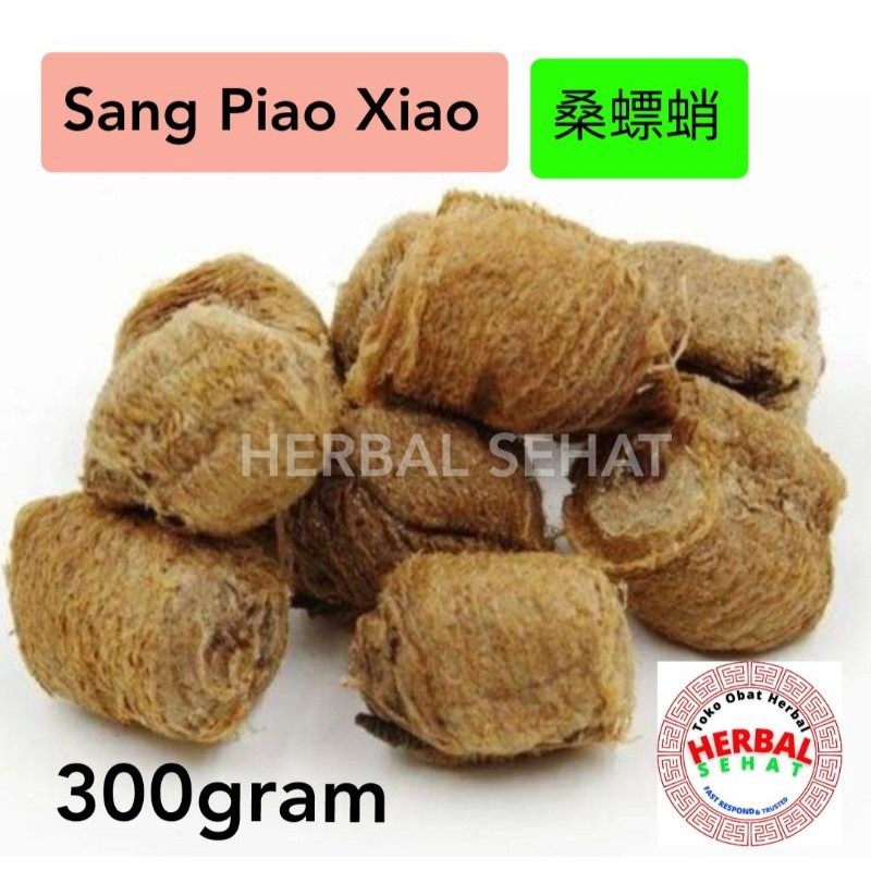 

Sang Piao Xiao 300 gram Suang Biao Xiao / ootheca mantidis mantis egg case [PREMIUM]