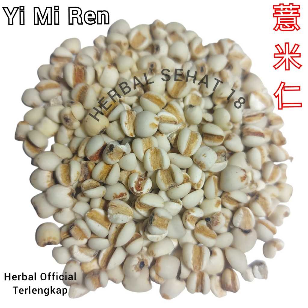 

600 gram - Barley Super - Yi Mi Ren Jali Jali Super - Jumbo - I Bi - Ie Mie [PREMIUM]