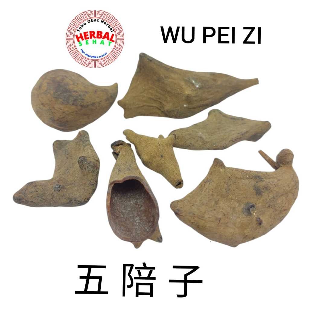 

600 Gram - Wu Pei Zi / Wu Bei Zi Chinese Gall, Chinese Nut-gall [PREMIUM]