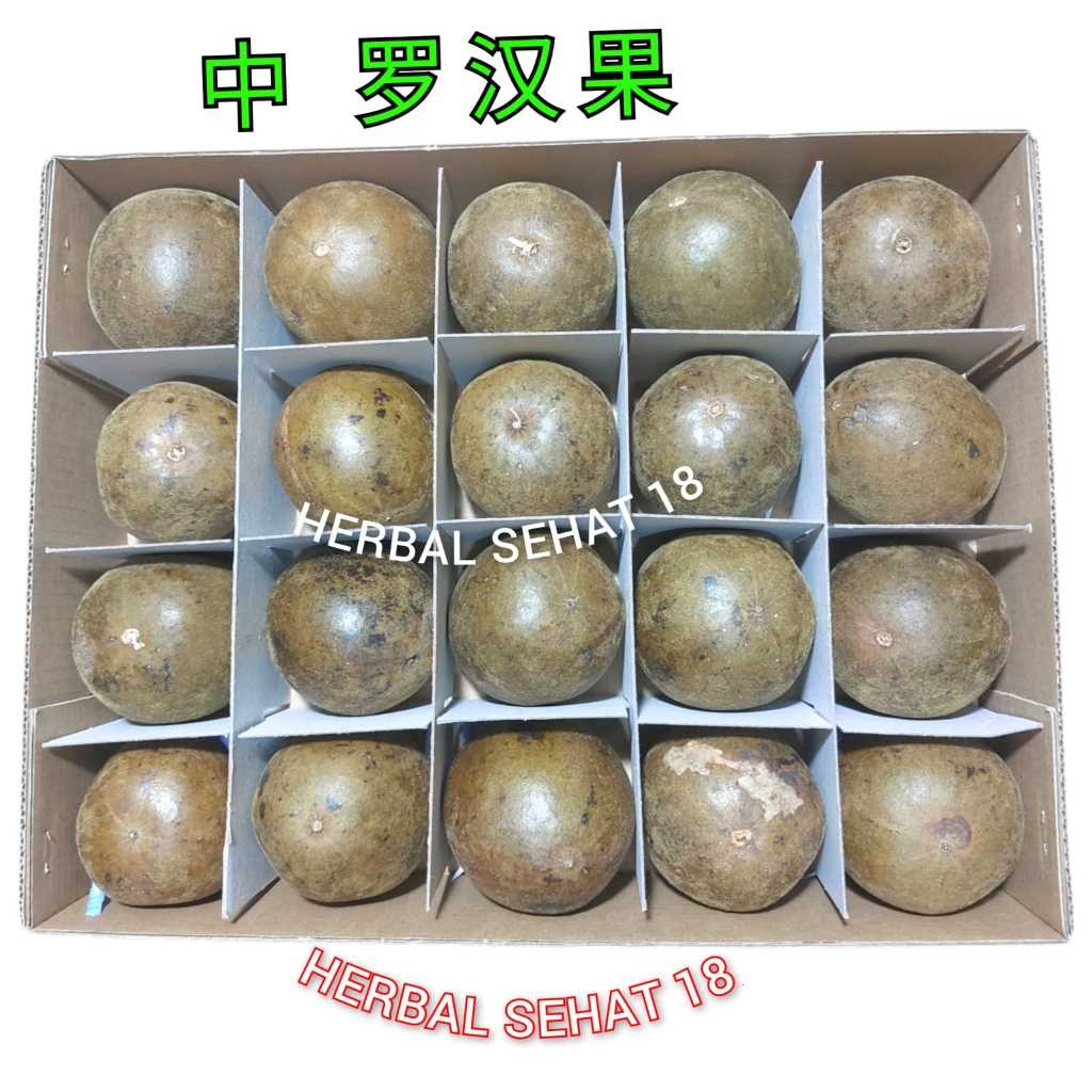 

(1 Box 20 Buah) Buah Lo Han Kuo / Lohankuo / Lo han Ko [PREMIUM]