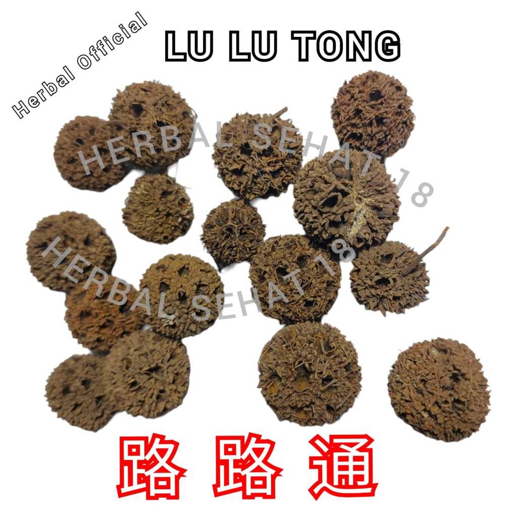

600 gram - Lu Lu Tong ambar Beautiful Sweetgum Fruit [PREMIUM]