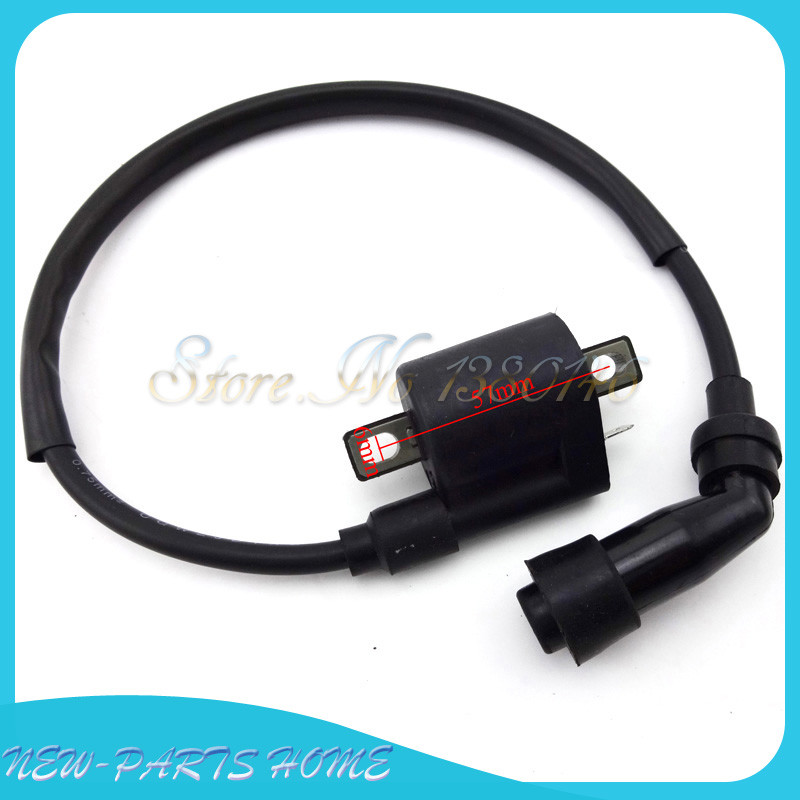 Kumparan Pengapian untuk Sepeda Motor 200cc 250cc 300cc Cina Skuter Moped ATV Quad Sepeda Motor Trai