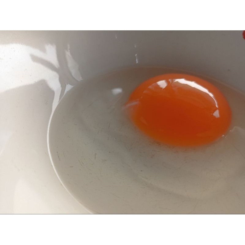 

TELUR BEBEK MENTAH PERBUTIR TERLARIS