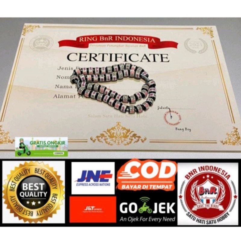 RB22 Ring BNR asli beserta sartifikat ukuran murai batu gelang kaki burung mb