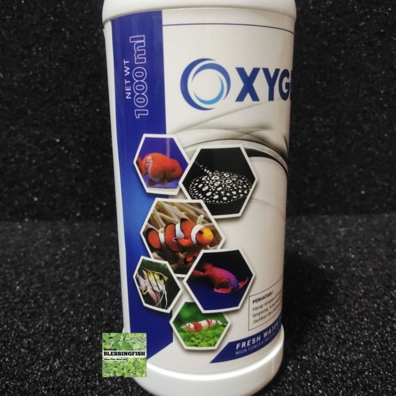 RB22 Oxygenic Bakteri Starter Perikanan Probiotik Oxygenic Aquarium Aquascape