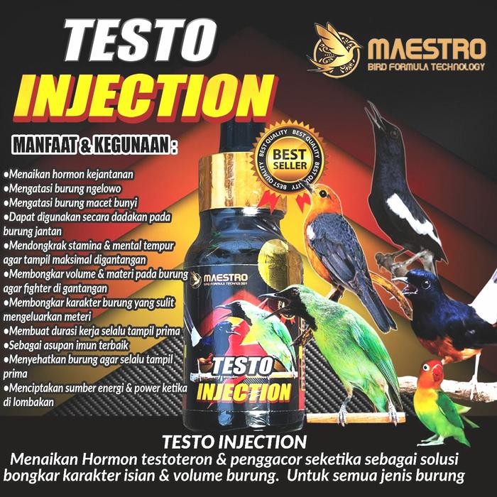 Cuci Gudang.. Testoteron Injection Menaikkan Birahi Hormon Testoteron Burung