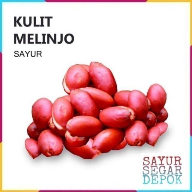 

KULIT MELINJO SAYUR / SAYUR SEGAR DEPOK