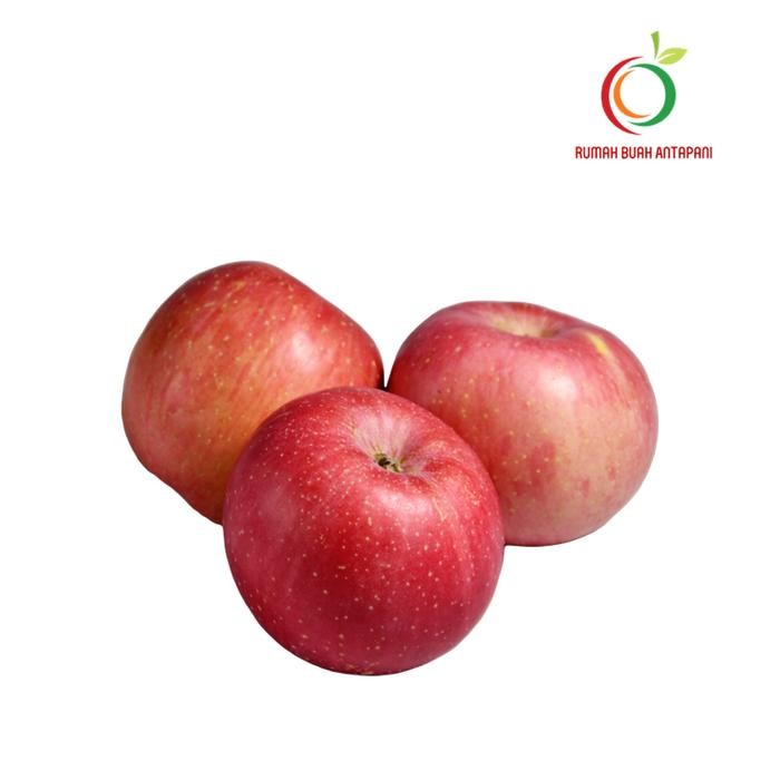 

Apel Fuji China Fresh 1 Kg New