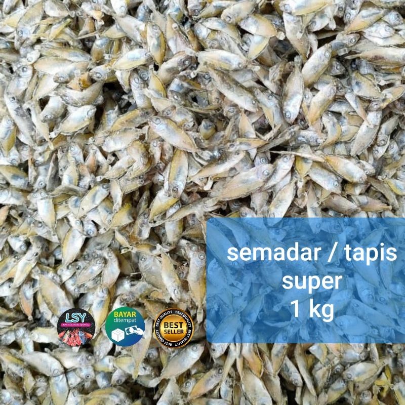 

Terlaris! ikan asin semadar / tapis super 1gram / 1 kg