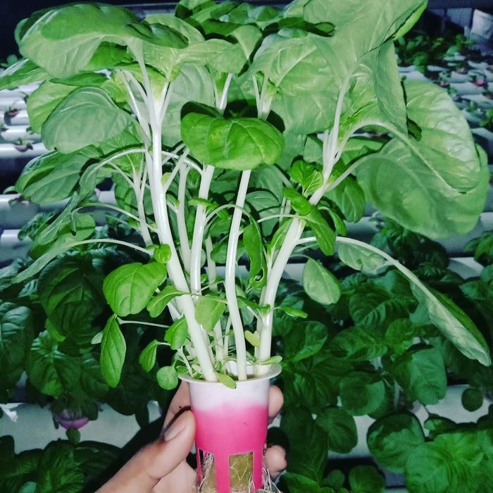 Ab mix PS mix 5 liter