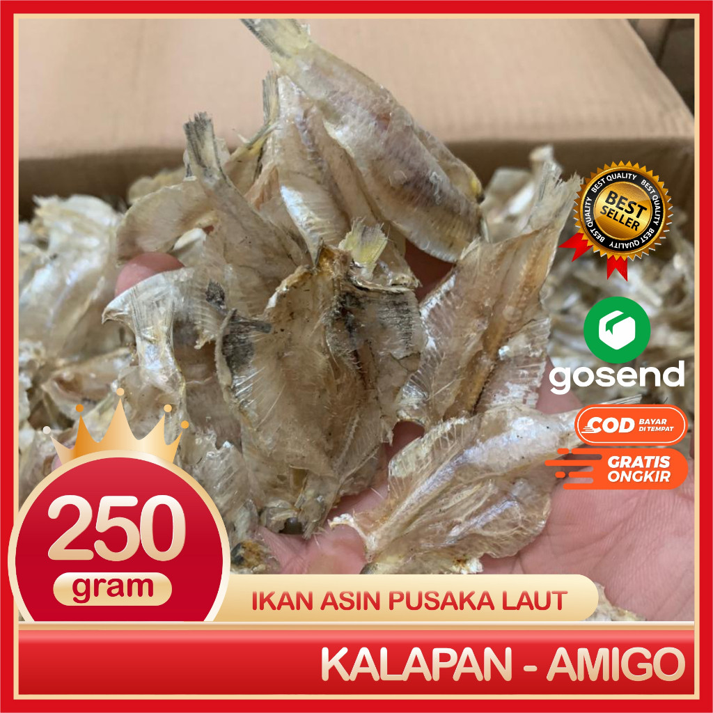 

Terlaris! Kalapan Amo Ikan Asin Kalapan Tipis Bersih Dan Super Segar 250 Gram