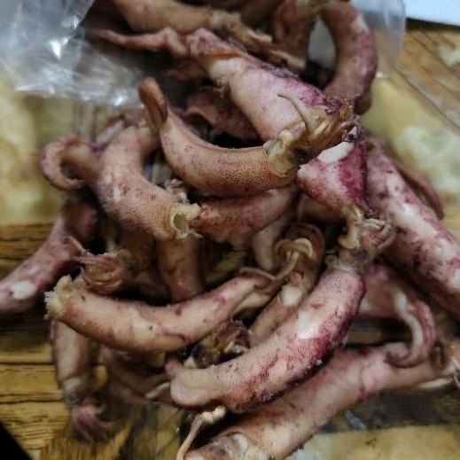 

Terlaris! Cumi Kering / cumi sotong asin telur khas medan