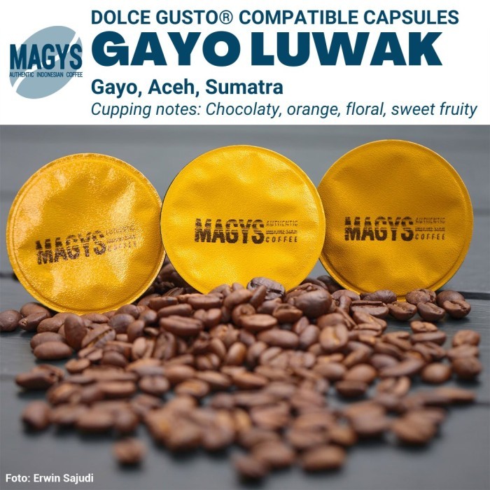 

Dolce Gusto Compatible Capsule - Arabika Gayo Luwak Arabica Kopi