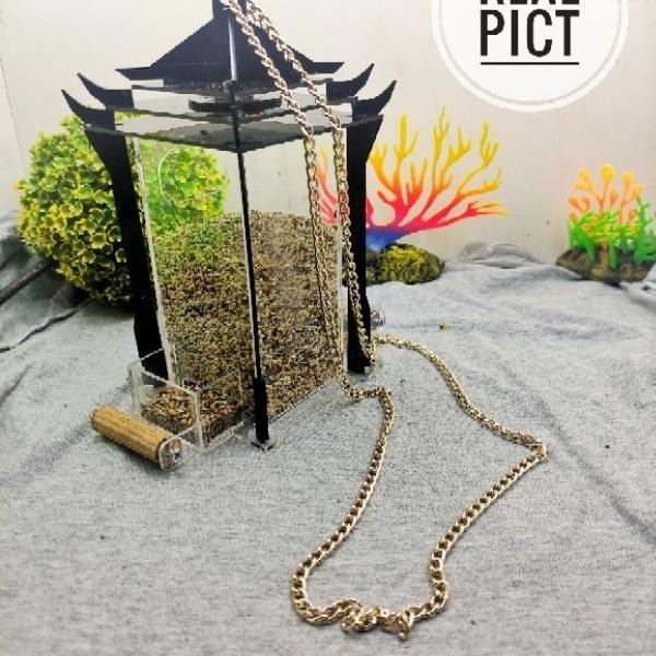 TEMPAT MAKAN MINUM BURUNG LIAR