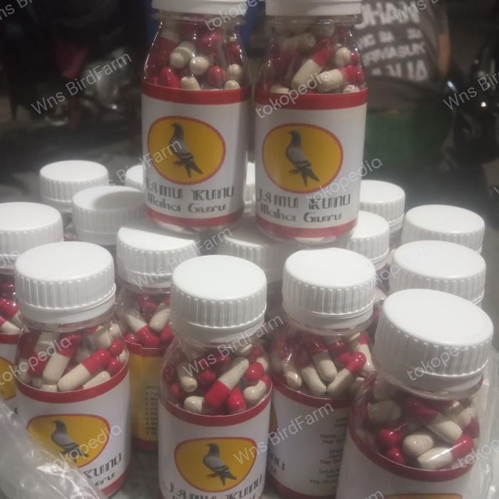 Jamu Merpati Maha Guru