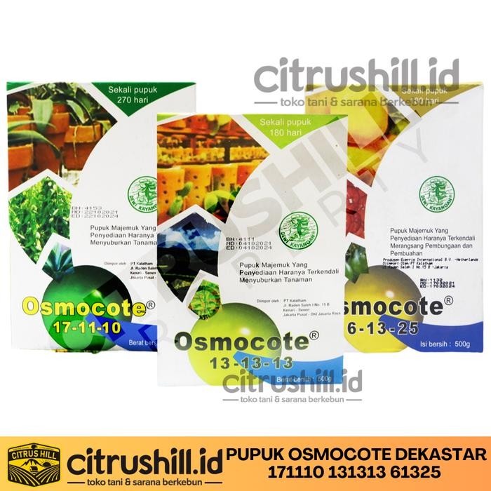 PUPUK OSMOCOTE DEKASTAR 171110 131313 61325 - NPK BUAH DAUN AGLONEMA - 13-13-13 100gr Kode 359