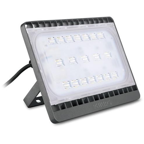 Philips Lampu Sorot 50W BVP172 Led39/Led43