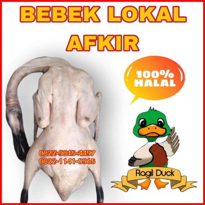 

BEBEK LOKAL AFKIR 1.2-1.3kg