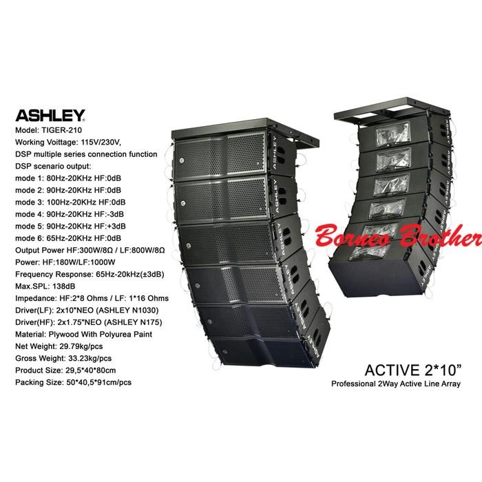 Ashley Tiger-210 Speaker Line Array Aktif 2 X 10" Neodyum