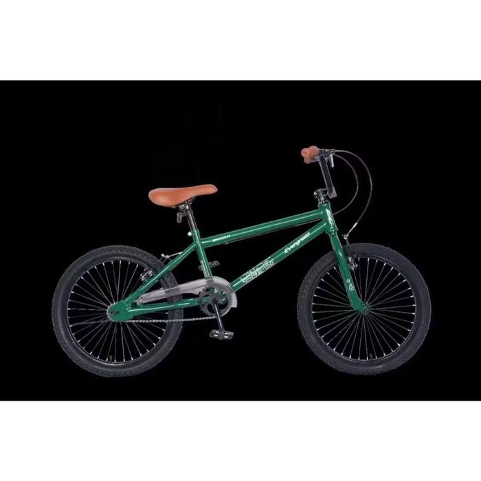 Sepeda Anak Bmx 20 Evergreen Murah