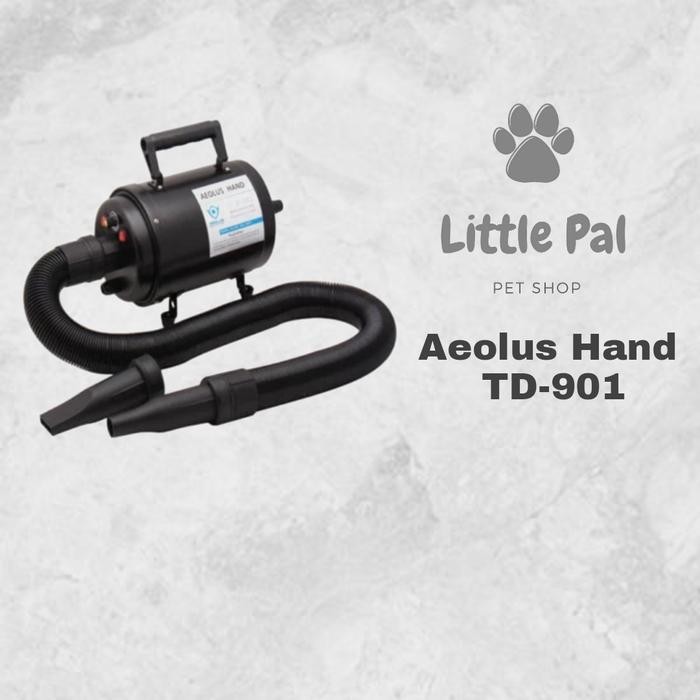 Aeolus Hand TD-901