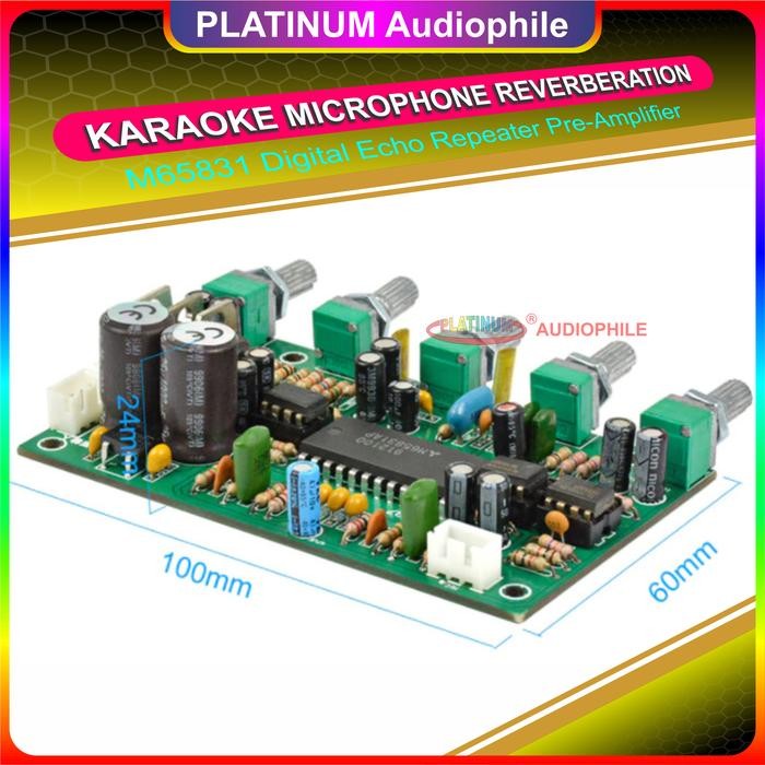 Digital Eo Reveberation Pre Amplifier Fessional Sound Cessor Xing KaraokeC M65831