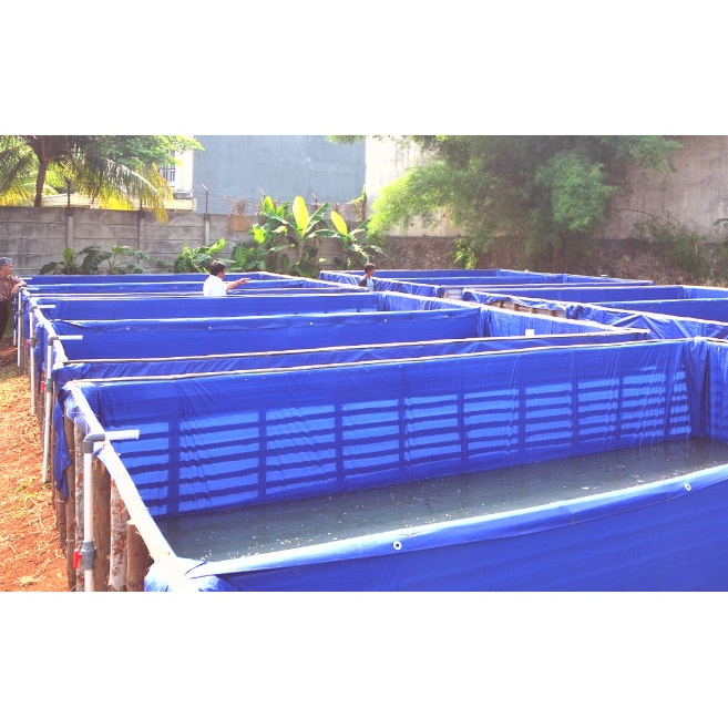 Bisa Gosend Terpal Kolam Lele 6X4X1 Meter Kolam Terpal Ukuran 6 X 4 X 1 Meter