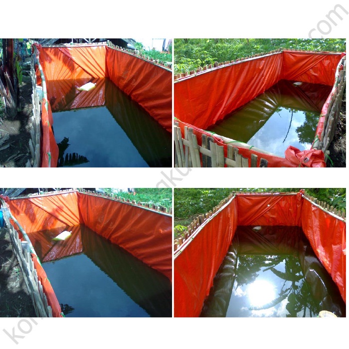 Terpal Kolam Lele 5X5X1 Meter Kolam Terpal Ukuran 5 X 5 X 1 Meter