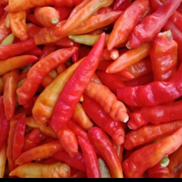

CABE RAWIT MERAH PETIKAN 1 kg 1000gr Segar dan Fresh Sayuran Sayur