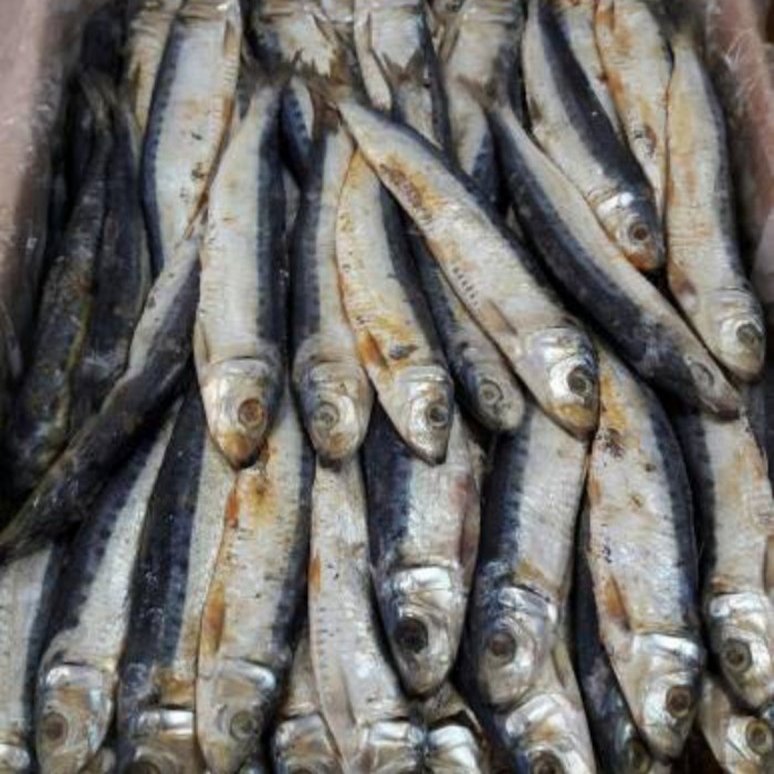 

ikan asin japuh500gr500gram