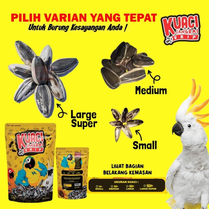 Kuaci Sangrai Jumbo Kualitas Super Untuk Burung Kakatua Afgrey Macaw