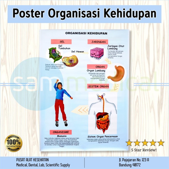 

Sale Poster Gambar Organisasi Kehidupan