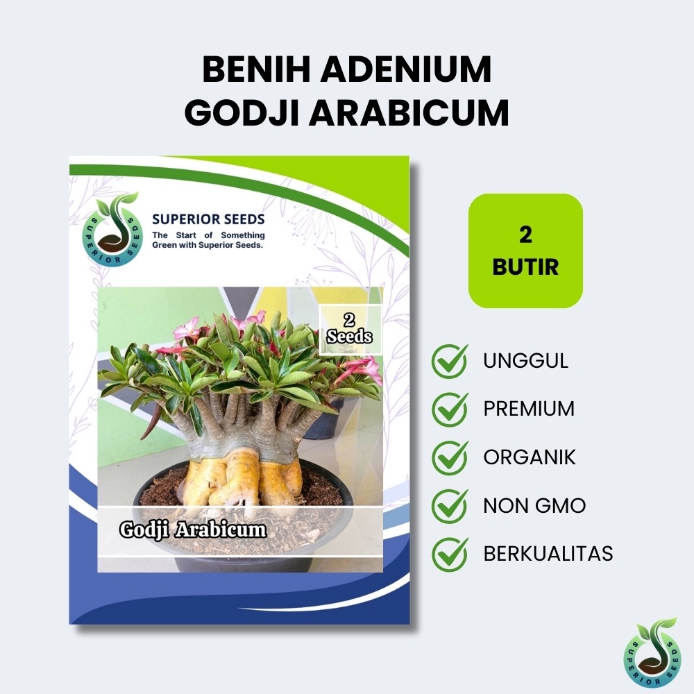 Biji Benih Adenium Godji Arabicum | Kamboja Jepang | Mawar Gurun (Superior Seeds)