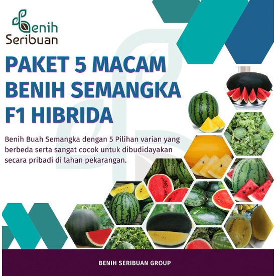 Bibit Semangka Paket 5 Macam Buah Semangka Non Biji Jumbo F1 PREMIUM