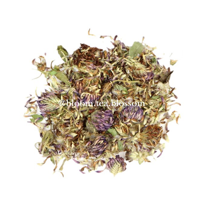 

Blossom Tea Bunga Teh Blossom Tea Red Clover Kering Bloom Clover 10g D