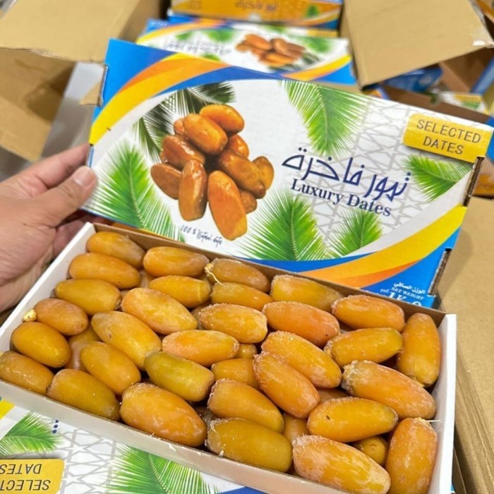 Kurma Ruthob Libya Premium 1Kg Kurma Muda 1 Kg Jumbo Frozen Libyan