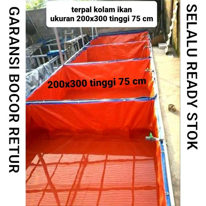 PREMIUM terpal kolam ikan a5 200x300x75 terpal kolam 2x3x75