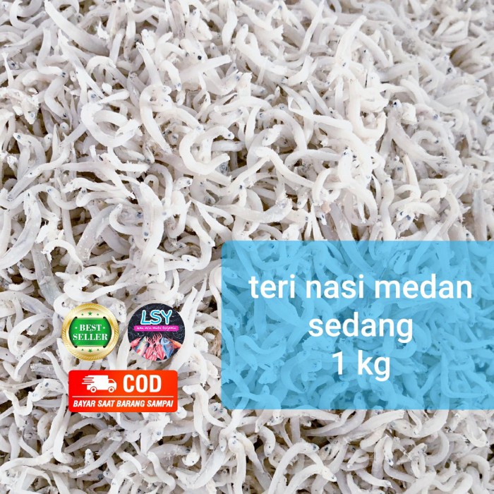 

BARANG TERLARIS ikan asin teri nasi medan size sedang 1kg