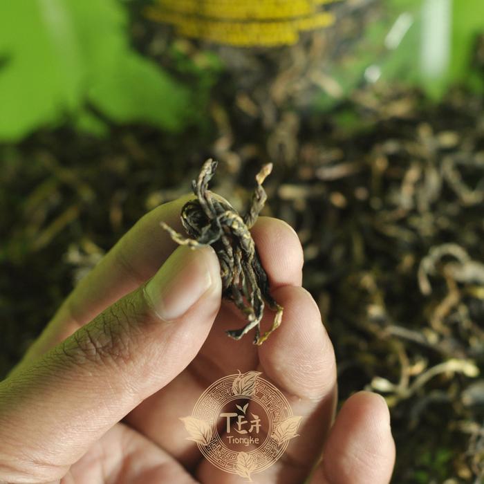 

BARANG TERLARIS Teh Hijau Pucuk Tiongke Daun Tradisional Sangrai Tanpa Minyak