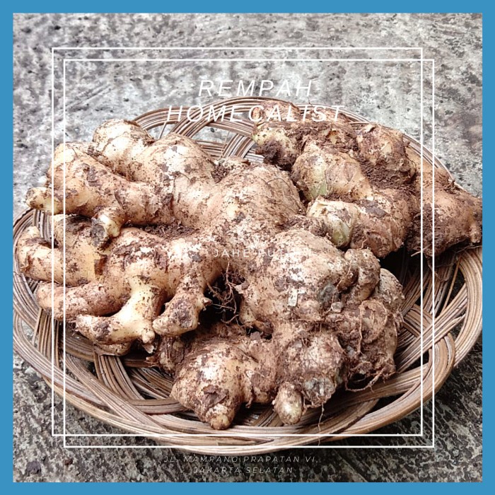 

jahe gajah 1 kg super / Jahe Putih Lokal